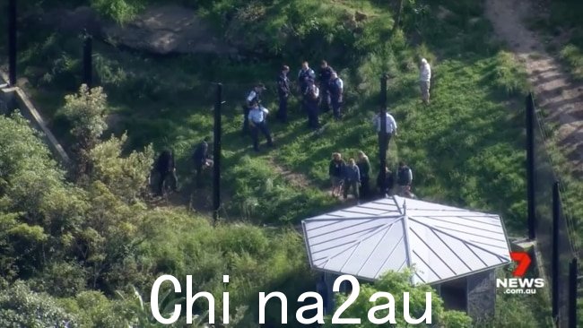 Taronga Zoo 透露了一个栅栏没能把狮子关在围栏里。图片:7 News