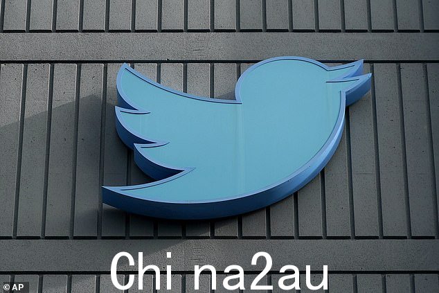 根据你的观点,埃隆马斯克——又名世界首富和 Twitter 的新主人——要么是一个危险的疯子,要么是某种有远见的天才