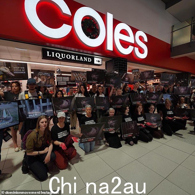 农场透明度项目成员周日占领墨尔本 Spencer Street Coles(如图)的肉类通道,呼吁禁止将猪关在笼子里