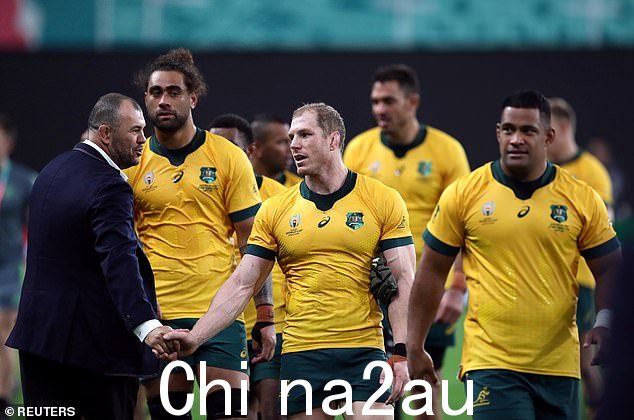 Cheika 在赢得 2019 年世界杯后祝贺他的小袋鼠球员——这是他为澳大利亚执教的最后一场比赛
