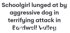 悉尼女童遭恶犬袭击，尖叫着“我要死了”！目击者亲述可怕瞬间（组图）