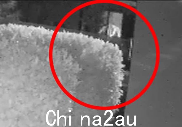 看到珍妮·海耶斯在屋内放火烧床垫