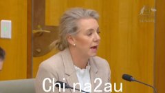 工党参议员格伦·斯特尔（Glenn Sterle）在称布里奇特·麦肯齐（Bridget McKenzie）为“顽皮的小女孩”后回溯