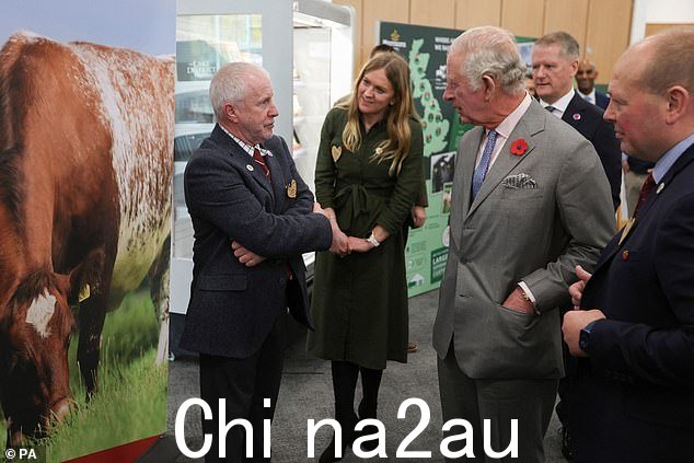 查尔斯穿着时髦的灰色西装、粉色衬衫和蓝色领带,到达活动现场时精神抖擞,在被介绍给不同的工作人员时喜气洋洋office