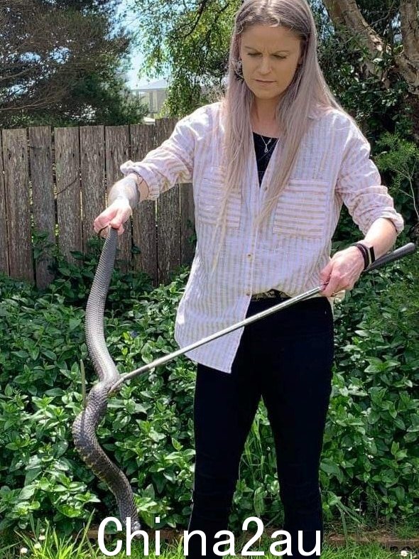 A woman holds a large snake by the tail.