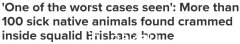 惨无人道！布里斯班惊现110只受虐重病动物，冰柜里还藏了25只尸体...（组图）