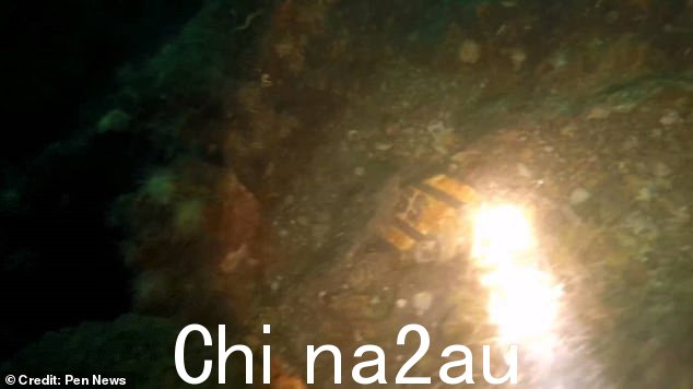 意大利海军联盟水下研究小组的负责人 Fabio Bisciotti 分析了沉船的照片,发现了几条潜在的线索。一个这样的线索是一个黄色的盘子,用熟悉的字体标记了两个类似 S 的字符(如图)