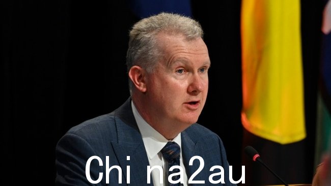 就业和劳资关系部长托尼·伯克说“t太多的工作场所在讨价还价中落伍了”,尤其是“女性化行业”。照片由 Martin Ollman/Getty Images 拍摄。
