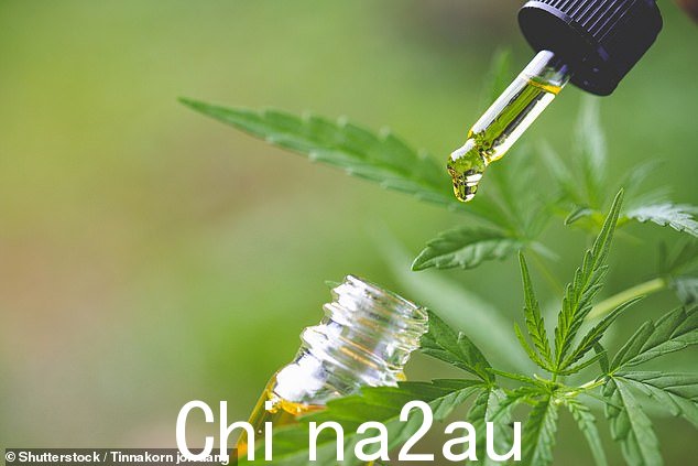 大麻植物产生一系列化学物质,包括一些已被证明可以阻断疼痛信号的化学物质