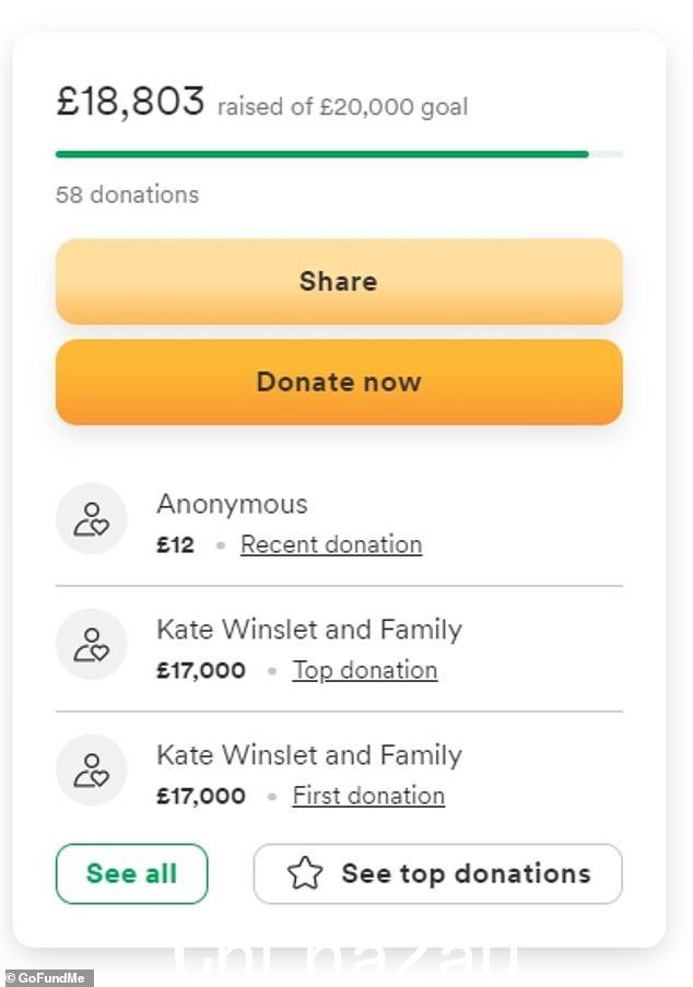 Winslet 向该家庭的 GoFundMe 页面捐赠了 17,000 英镑,并联系了 Hunter 小姐祝他们幸福