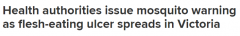 小心蚊虫叮咬！维州已报告200多例布鲁里溃疡病例，可导致毁容（图）