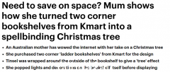 澳洲女性Kmart书架变身圣诞节，网友赞不绝口！ （相片）