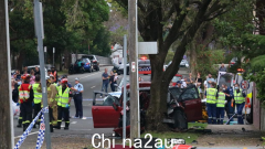 海港大桥附近发生惨烈车祸！被盗车辆在警方追捕过程中发生爆炸并起火。许多人受重伤并被送往医院。 “到处都是血”（组图）