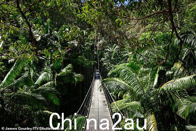 Return:I'm A Celeb 剧集从 8 月开始建设,共有 700 人,其中 600 人是澳大利亚本地人,在节目中工作