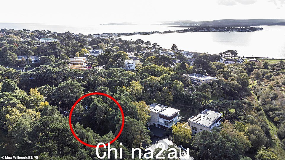 它隐藏在坎福德悬崖死胡同尽头的三座新建的超现代住宅旁边的冷杉林中