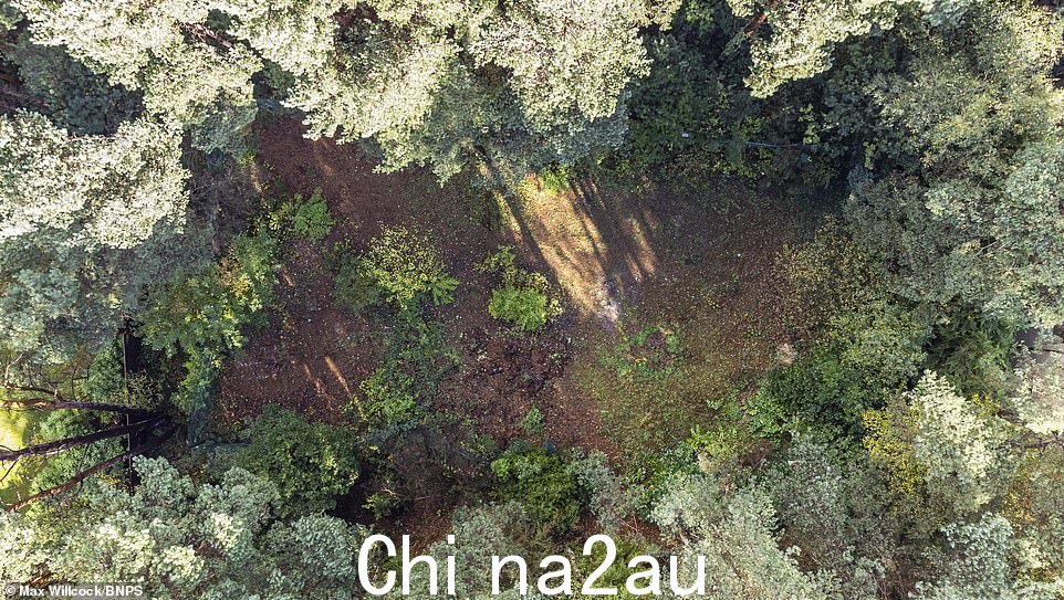 这片土地目前只能从空中看到,清理区域和周围的树木在市场上售价 150 万英镑