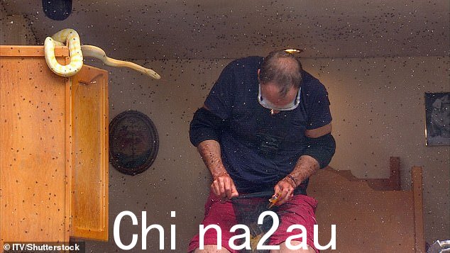 注意!马特在讨论了他对爬行动物的恐惧后面对蛇