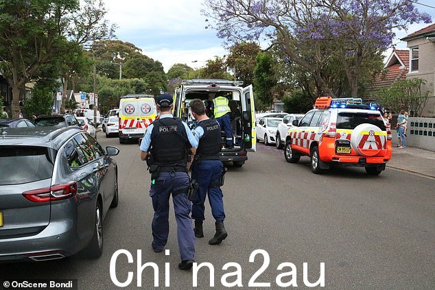 一架救援直升机和多辆救护车被召集到西圣坎默雷的现场,将伤者送往医院