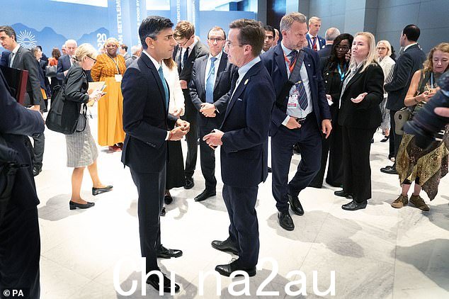 上周,总理在埃及参加 Cop27 会议,改变了他最初不参加的决定。图为:苏纳克先生在沙姆沙伊赫举行的 Cop27 峰会期间会见瑞典同行 Ulf Kristersson