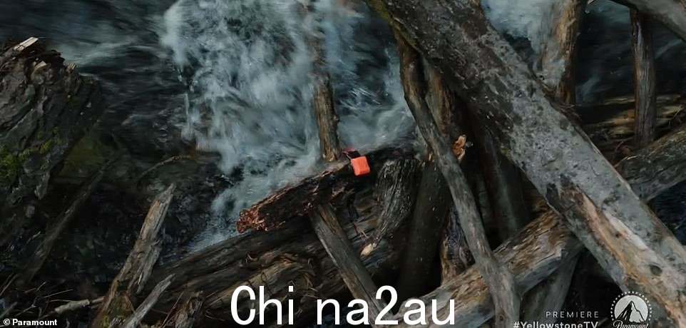 被卡住了:这一集以一个无线电项圈卡在一些树枝上而其他人飘走而结束