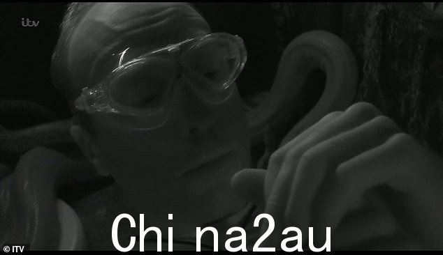 漆黑:真的,我是名人风格,一大群小动物和精选的蛇加入了他的行列 - 他最害怕的 - 当他大喊“它在我的短裤里!”时=