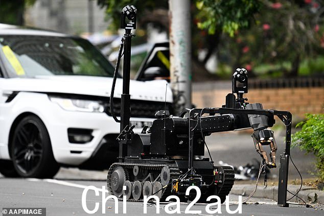 一个炸弹机器人被带进来检查神秘物品,维多利亚警方认为我t 'safe and non-suspicious'