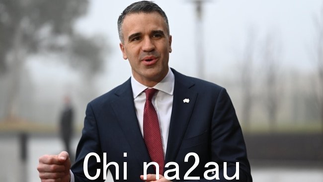 总理 Peter Malinauskas 表示，向脱碳经济的过渡正在发生，但不能“鲁莽”地完成。图片：NCA NewsWire / Martin Ollman