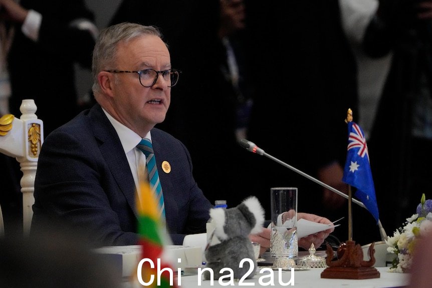 Anthony Albanese 坐在一张有考拉和澳大利亚国旗的桌子旁。 