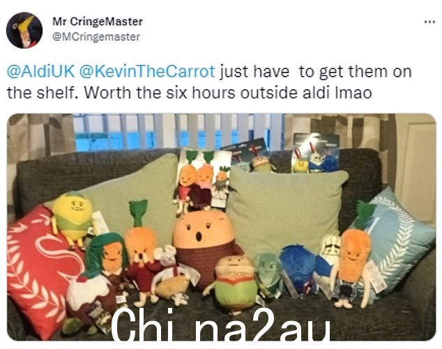 另一位分享了他们收藏的图片并评论道:'@AldiUK @KevinTheCarrot 只需要将它们放在货架上。值得在 aldi lmao 外面度过六个小时'