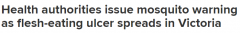 可以毁容！维州蚊子出没，叮咬已达数百处可怕溃疡，一名亚裔澳洲儿童死于登革热（图）