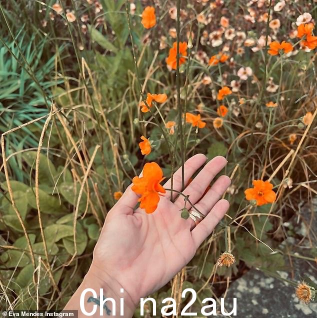 '谁说我们还没有?'伊娃在电台节目中说道。“我喜欢保持神秘,”她笑着补充道。 “谁说我们还没有?”伊娃告诉电台节目。 “我喜欢保持神秘,”她笑着补充道</p><p class=