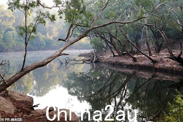 温洛克河(上图)是前往昆士兰北端约克角的游客的热门游泳地点,但当地人将其称为鳄鱼热点