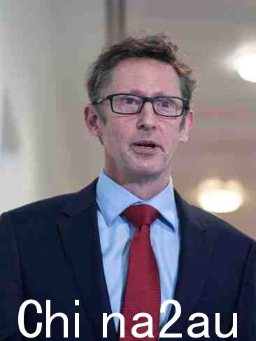 Stephen Jones 和 Plibersek 一起批评该法案的反对者。图片:NCA NewsWire / Gary Ramage