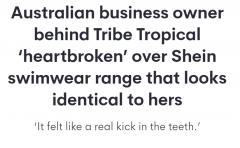 澳洲泳装创始人发声痛心疾首，起诉总部在中国的公司，感觉自己被狠狠踢了一脚（图）