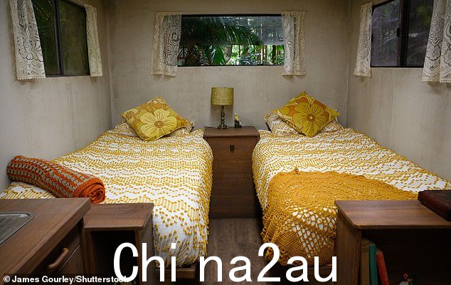 舒适:昨晚 A Place In The Sun 主持人被选出营地之前,斯嘉丽在车里给苏提供了一张床