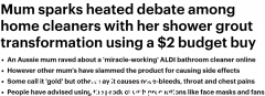 仅售$2.59的Aldi“清洁神器”火了！澳洲女性以前用过，赞不绝口。网友：真的好用，但要注意（集体照）