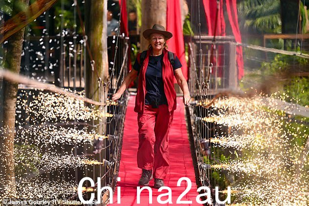 =回家时间!当她走过著名的桥时,苏满脸笑容,在另一边的家人迎接她之前,两边都闪着烟花"