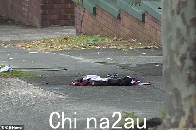 爱德华兹在凶手刺伤他的胸部后失血过多而死(如图所示)。自从爱德华兹殴打一名老妇人后,两人就一直是敌人