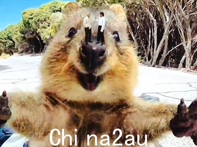 '看看考拉、短尾矮袋鼠和大堡礁,'贝斯手 Calum Hood 说