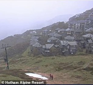 霍瑟姆山度假村一夜之间下雪(如图,mountai n 星期二)