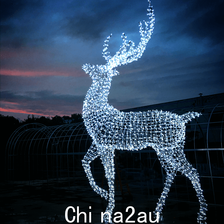 鹿圣诞灯饰 (SHINE/Enchant) | 圣诞灯饰，户外圣诞节，温哥华圣诞市场