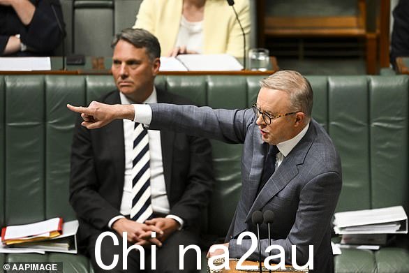 '唯一对这个问题感到高兴的人是坐在上面角落里的人,'Albanese 先生指着蓝绿色的独立人士说,他们通过提倡进步的社会政策和气候变化行动而占据了安全的自由党席位