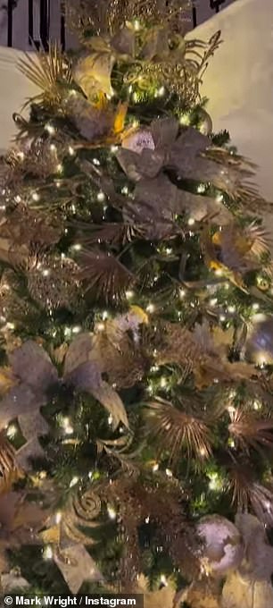 Christmassy:当门打开时,他们的大堂区域以树为中心 - 因为它的高度到达楼梯的顶部