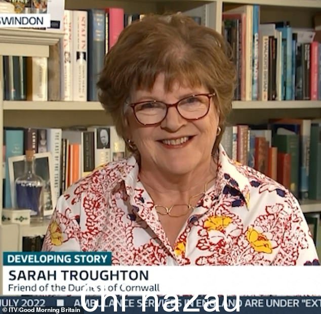 Sarah Troughton,69 岁(照片出现在早安英国)自 2012 年以来一直是威尔特郡的中尉