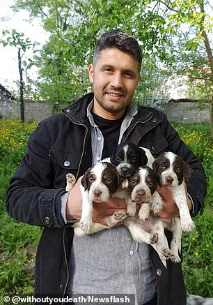 Gevrekoglu is pictured with a little of puppies
