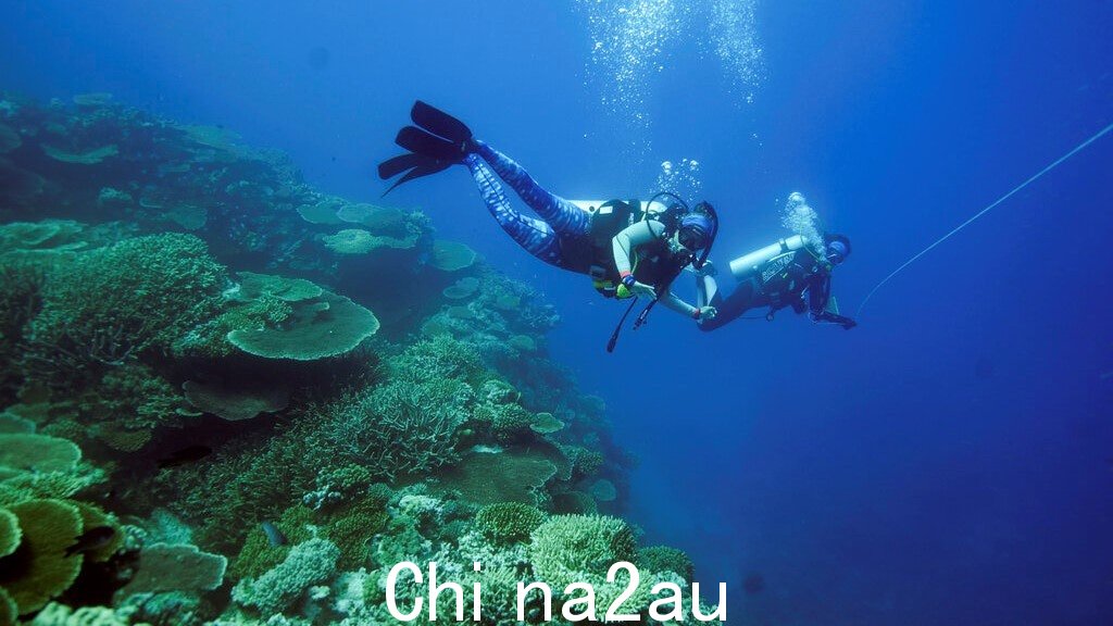 联合国建议将大堡礁澳大利亚政府反对列入濒危世界遗产名录