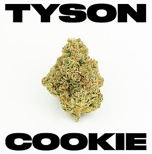 泰森的商业投资包括他的 Tyson Ranch 品牌名称下的两个大麻品牌