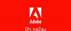 陷入绝境的Adobe（图）