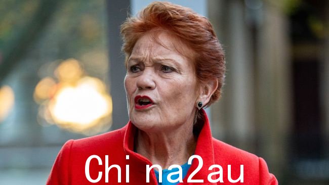 Pauline Hanson 说澳大利亚学校正在给我们的孩子灌输思想。图片:NCA NewsWire / Christian Gilles