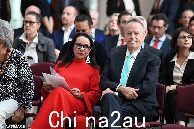 Linda Burney(上图是她在 2019 年为她的官方议会肖像穿的红色 Carla Zampatti 套装)一直很时尚,穿着时尚品牌,但“不拥有任何 Gucci 产品'
